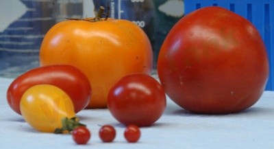 lycopene.jpg